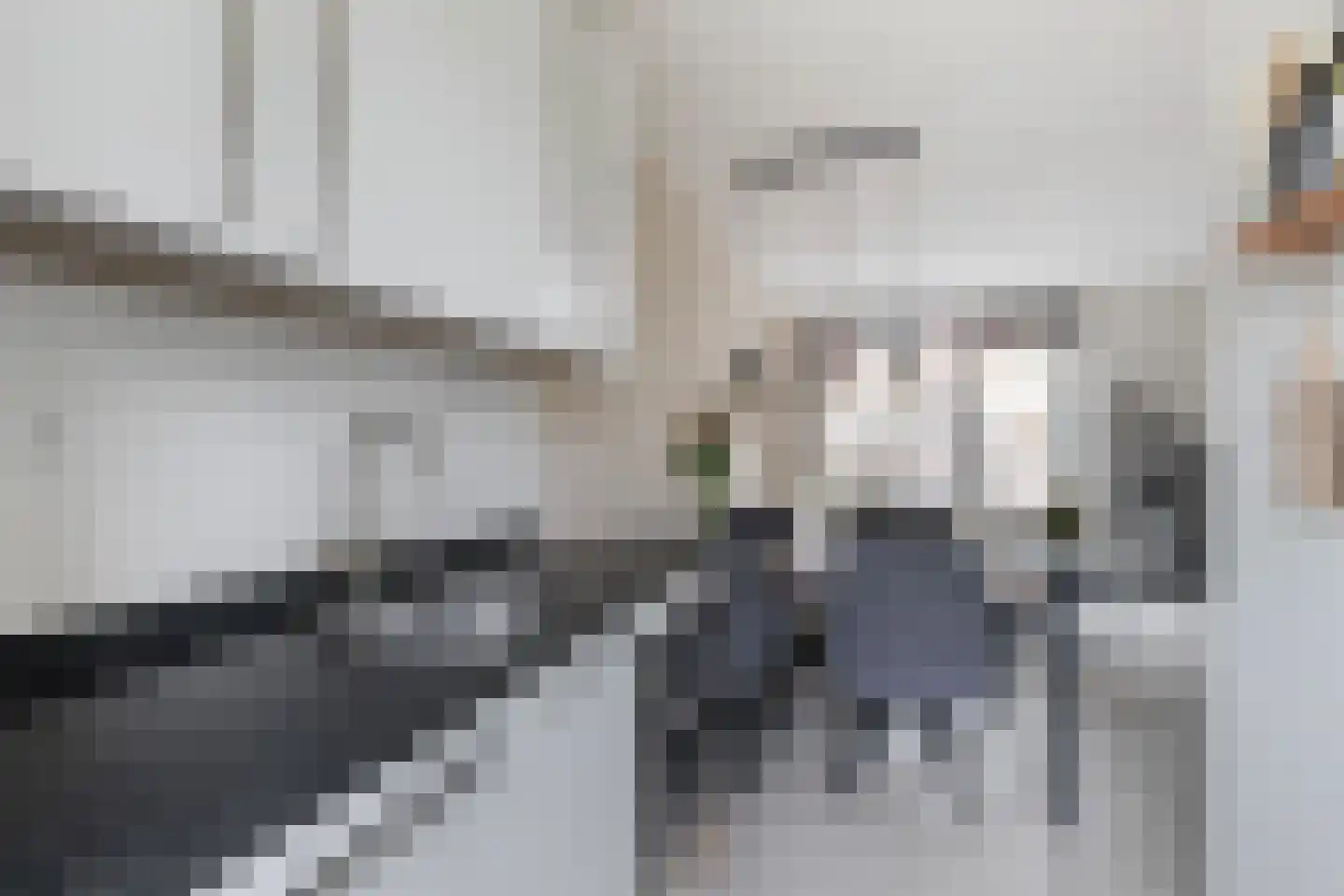 Driekus van der Giessenhof 4 Klaaswaal thumbnail 16
