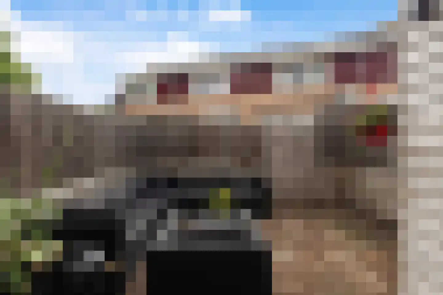 Driekus van der Giessenhof 4 Klaaswaal thumbnail 27