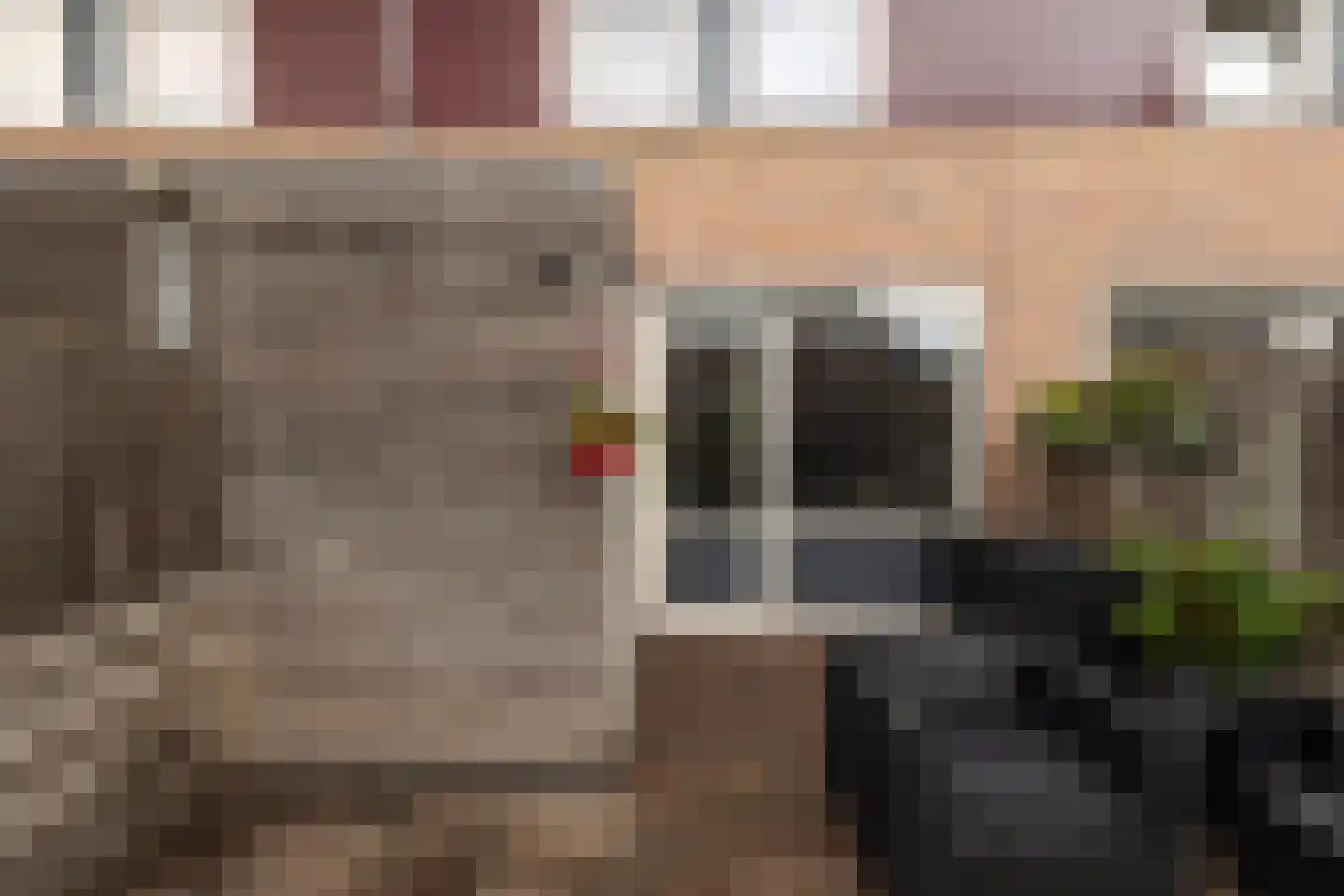 Driekus van der Giessenhof 4 Klaaswaal thumbnail 30