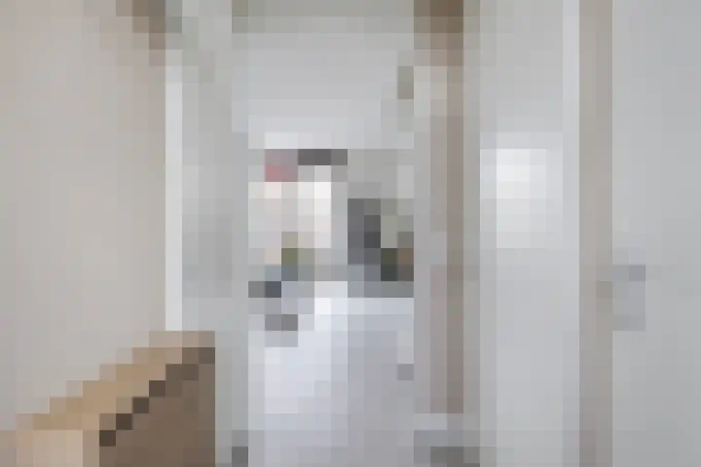 Driekus van der Giessenhof 4 Klaaswaal thumbnail 4