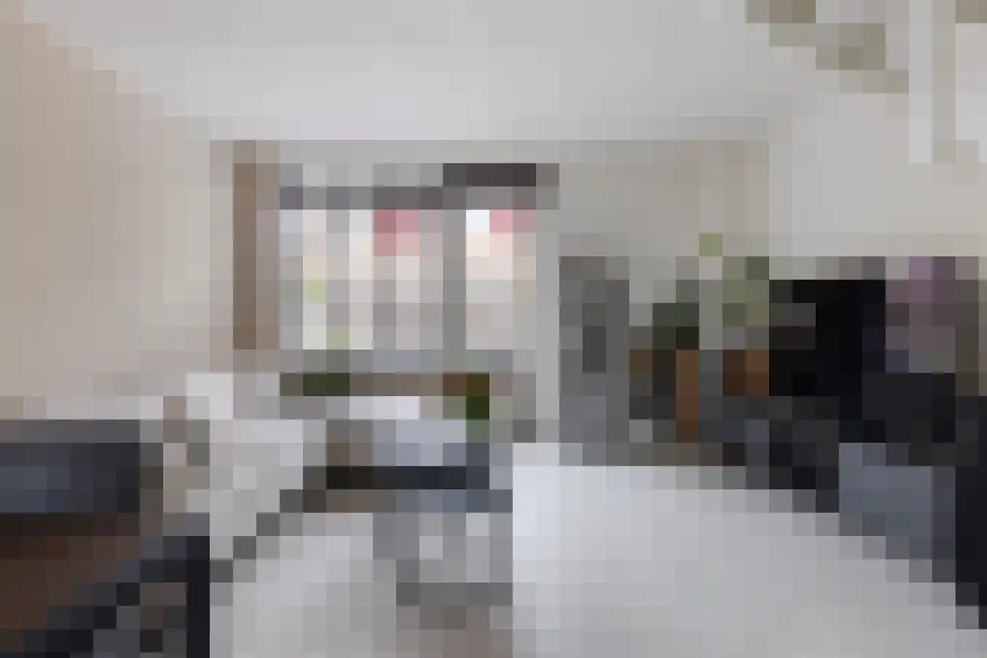 Driekus van der Giessenhof 4 Klaaswaal thumbnail 8