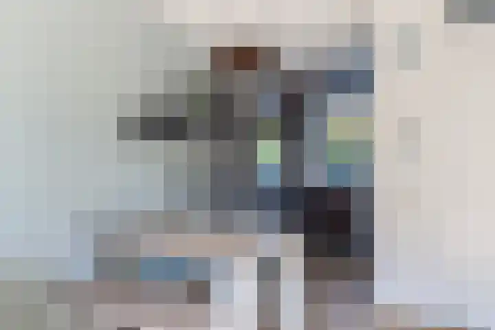 Driekus van der Giessenhof 5 Klaaswaal thumbnail 13