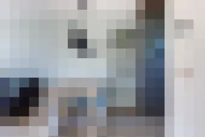 Driekus van der Giessenhof 5 Klaaswaal thumbnail 14