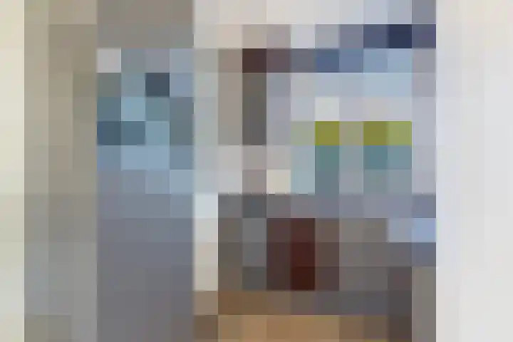 Driekus van der Giessenhof 5 Klaaswaal thumbnail 15