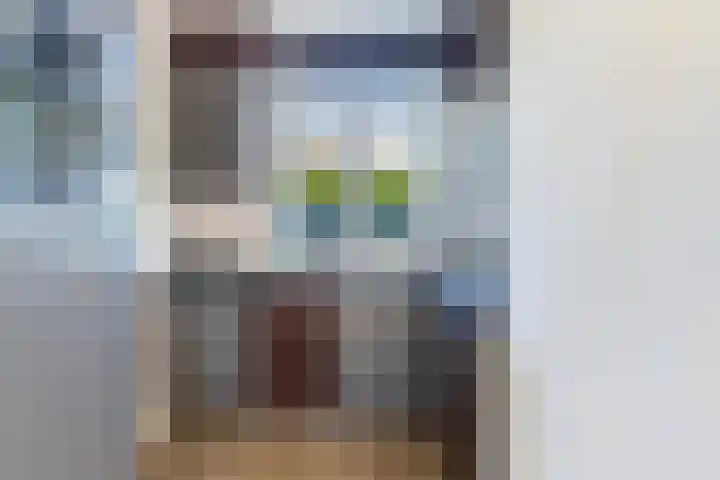 Driekus van der Giessenhof 5 Klaaswaal thumbnail 18
