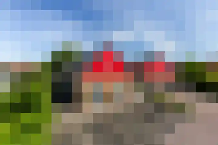 Driekus van der Giessenhof 5 Klaaswaal foto 2