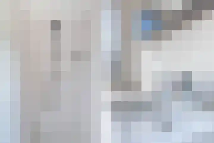 Driekus van der Giessenhof 5 Klaaswaal thumbnail 24