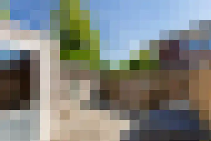 Driekus van der Giessenhof 5 Klaaswaal thumbnail 25