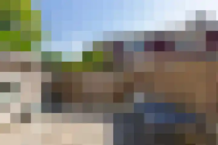 Driekus van der Giessenhof 5 Klaaswaal thumbnail 26