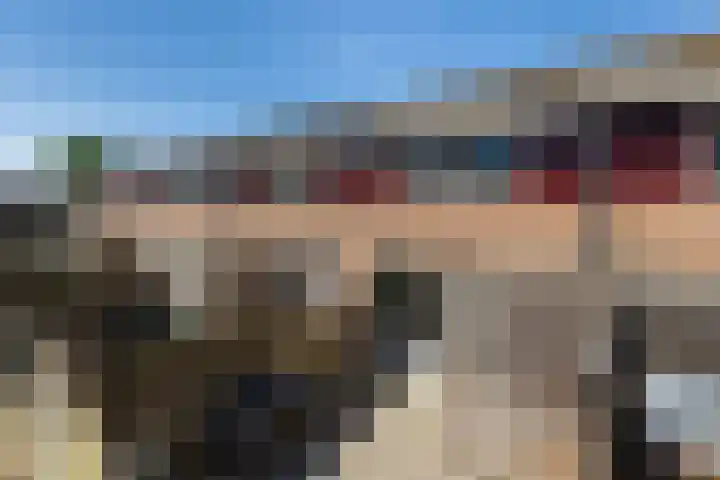 Driekus van der Giessenhof 5 Klaaswaal thumbnail 30