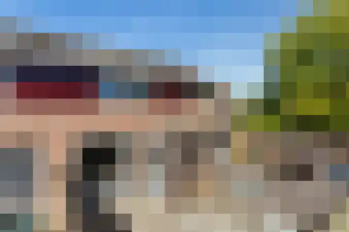 Driekus van der Giessenhof 5 Klaaswaal thumbnail 31