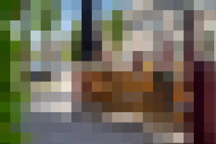 Driekus van der Giessenhof 5 Klaaswaal thumbnail 36