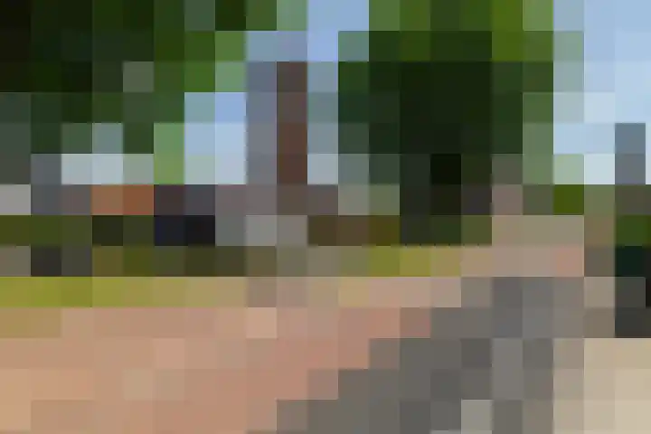 Driekus van der Giessenhof 5 Klaaswaal thumbnail 37