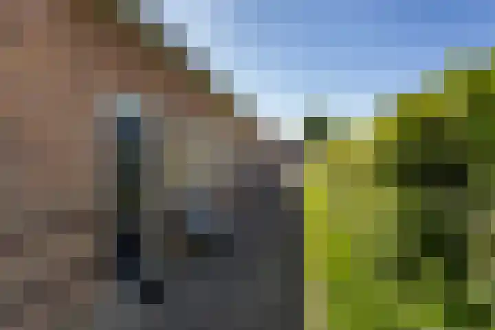 Driekus van der Giessenhof 5 Klaaswaal thumbnail 4