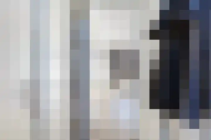 Driekus van der Giessenhof 5 Klaaswaal thumbnail 5