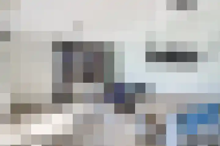 Driekus van der Giessenhof 5 Klaaswaal thumbnail 7