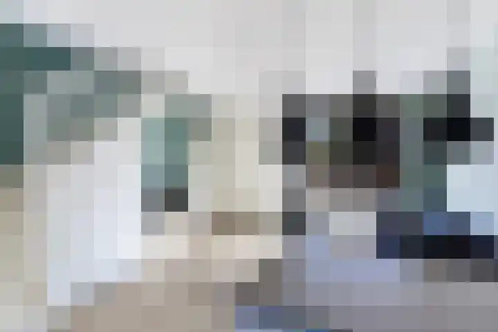Driekus van der Giessenhof 5 Klaaswaal thumbnail 8