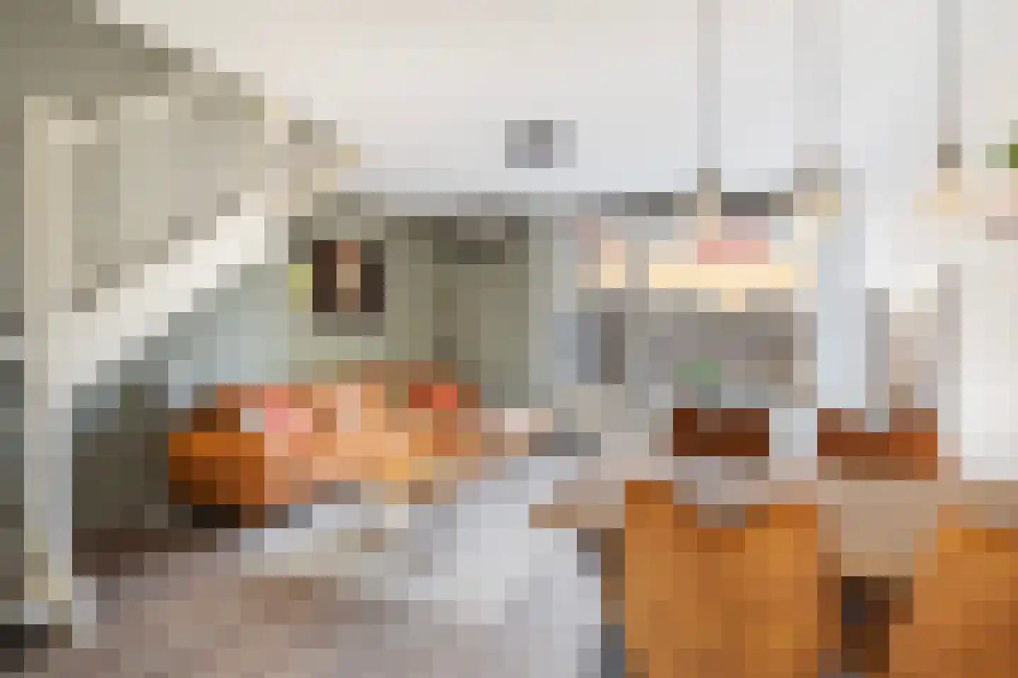 Driekus van der Giessenhof 9 Klaaswaal thumbnail 11