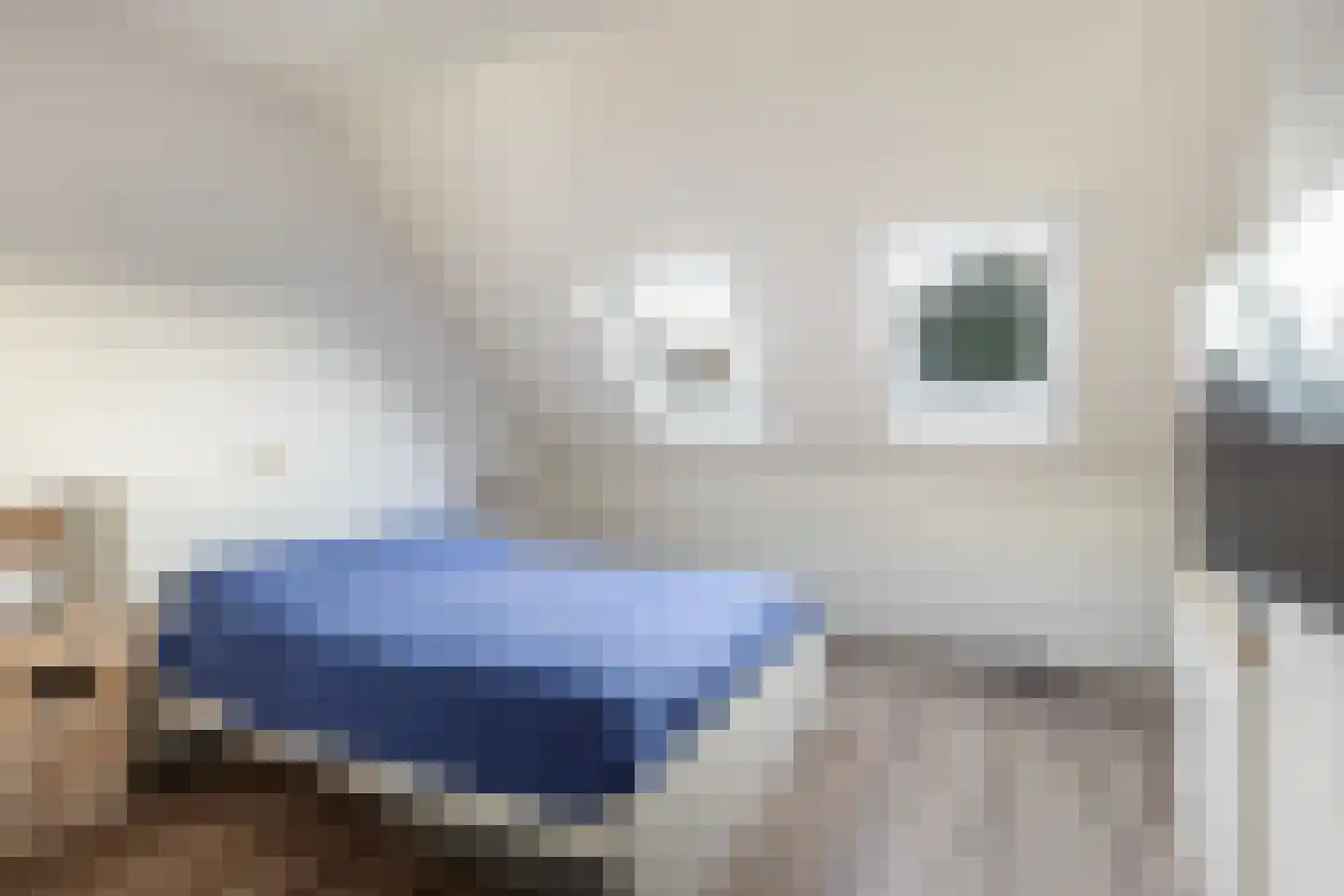 Driekus van der Giessenhof 9 Klaaswaal thumbnail 18