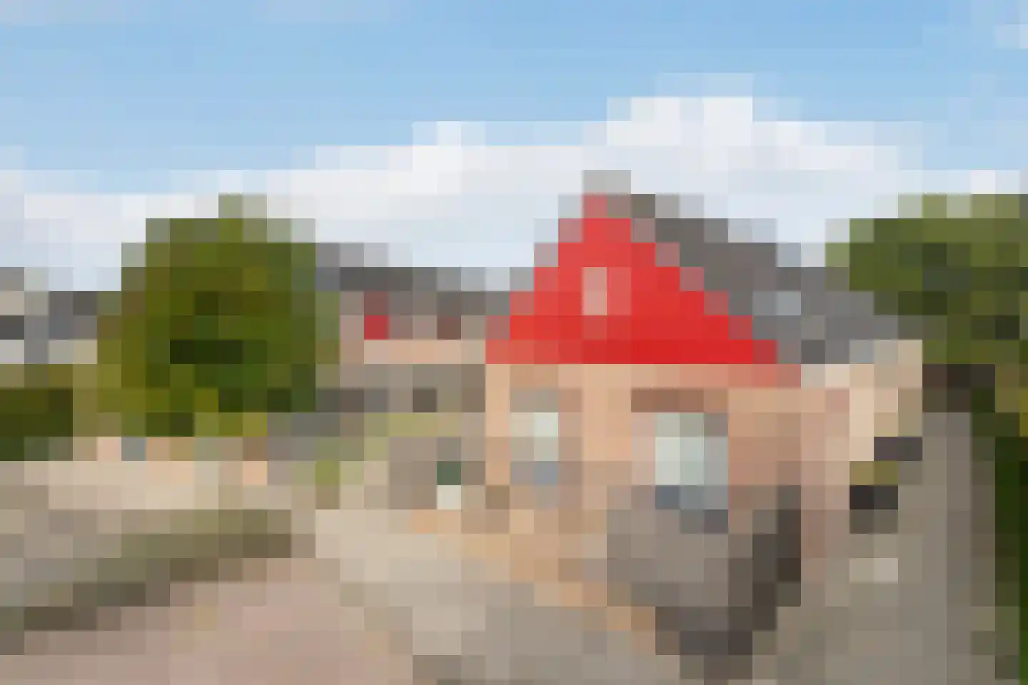 Driekus van der Giessenhof 9 Klaaswaal foto 2