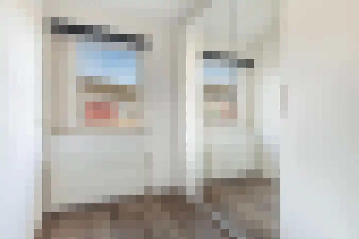 Driekus van der Giessenhof 9 Klaaswaal thumbnail 21