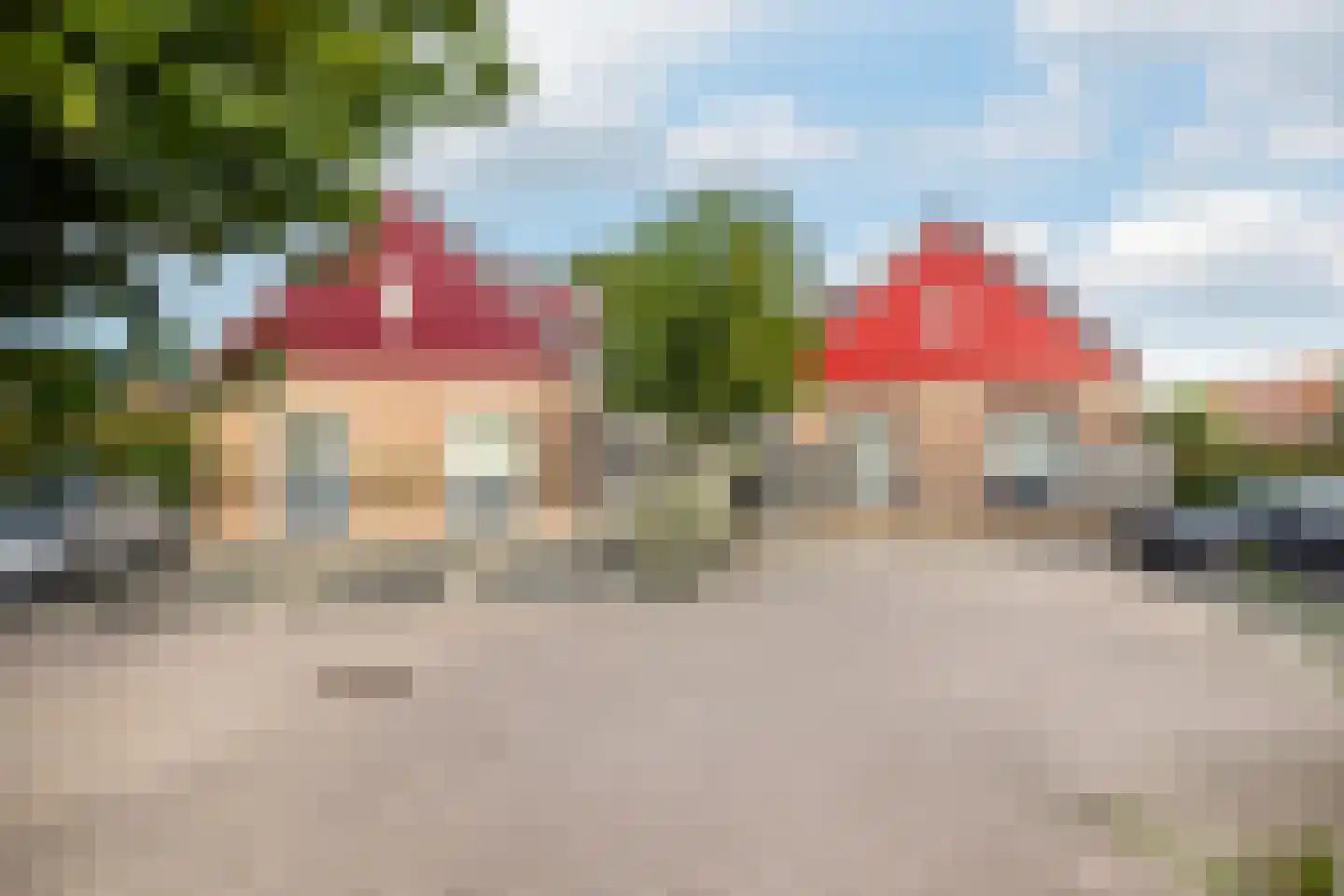 Driekus van der Giessenhof 9 Klaaswaal thumbnail 31