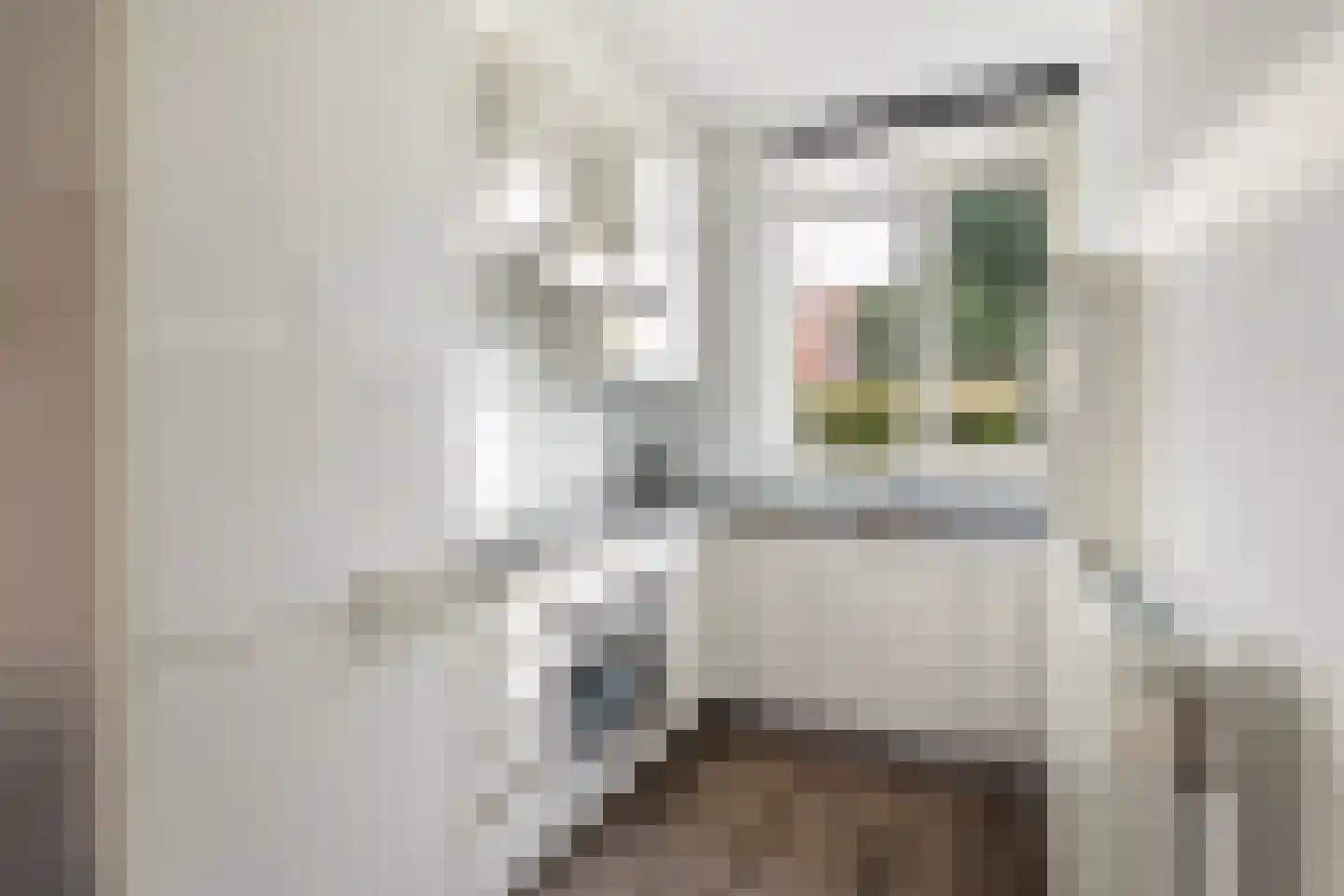 Driekus van der Giessenhof 9 Klaaswaal thumbnail 4