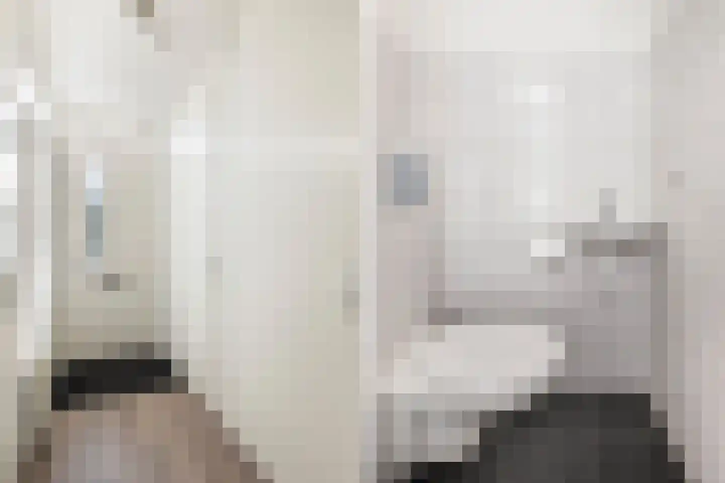 Driekus van der Giessenhof 9 Klaaswaal thumbnail 7
