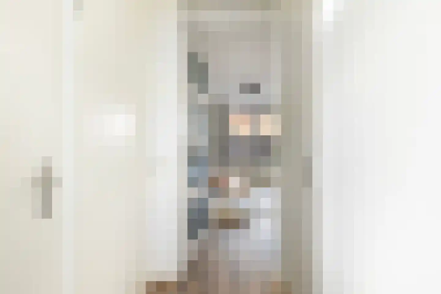 Driekus van der Giessenhof 9 Klaaswaal thumbnail 8