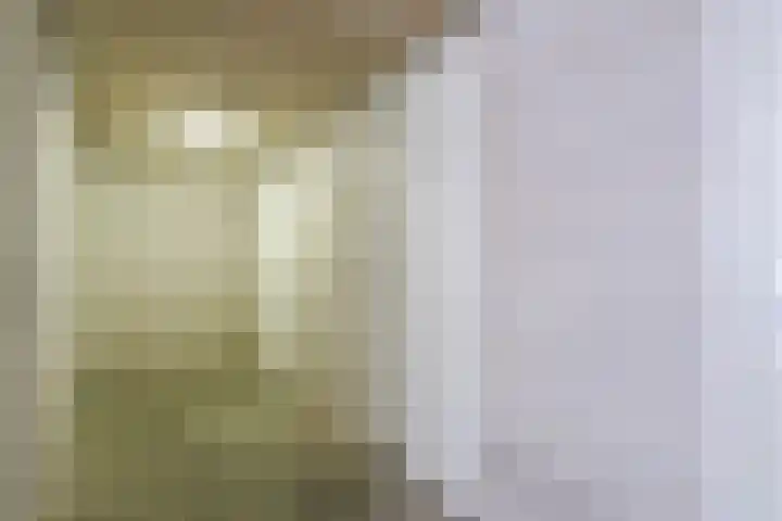 Drielandendreef 200 Harderwijk thumbnail 25