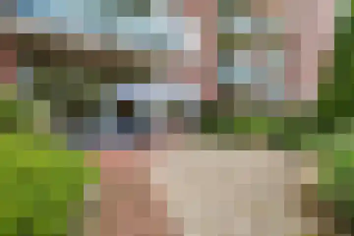 Drielandendreef 200 Harderwijk thumbnail 30