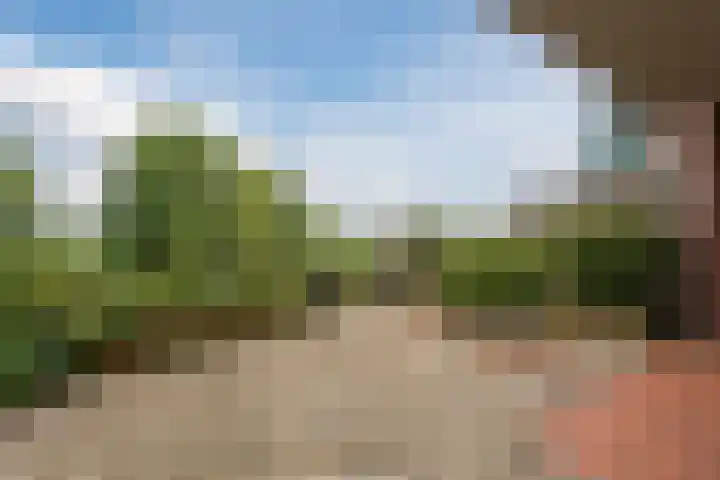 Drielandendreef 200 Harderwijk thumbnail 31