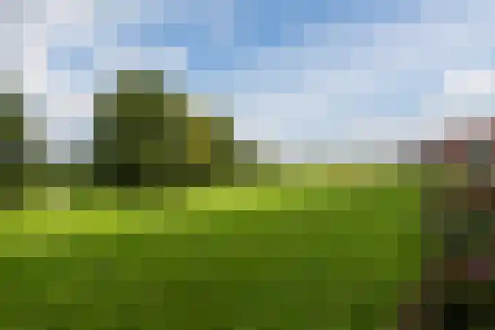 Drielandendreef 200 Harderwijk thumbnail 33