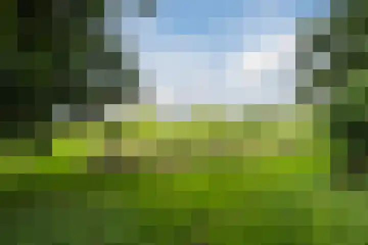 Drielandendreef 200 Harderwijk thumbnail 34