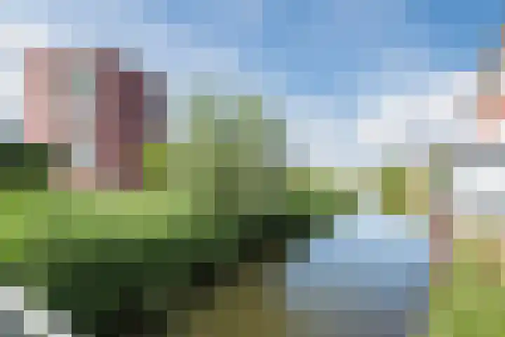 Drielandendreef 200 Harderwijk thumbnail 38