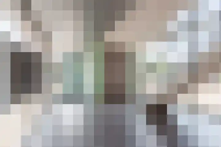 Drielandendreef 200 Harderwijk thumbnail 4