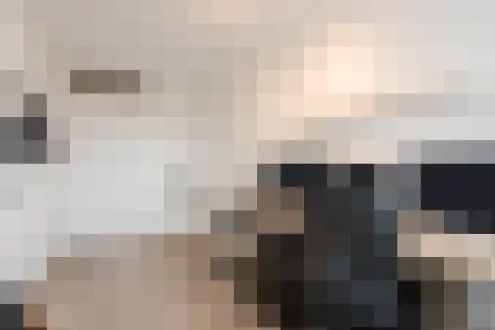 Drielandendreef 268 Harderwijk thumbnail 21