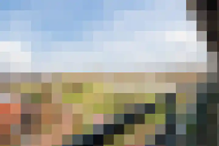 Drielandendreef 268 Harderwijk thumbnail 31