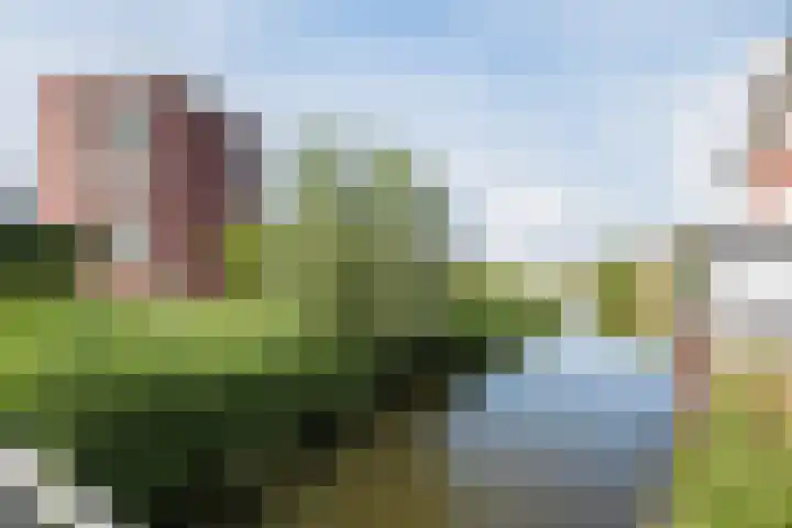 Drielandendreef 268 Harderwijk thumbnail 48