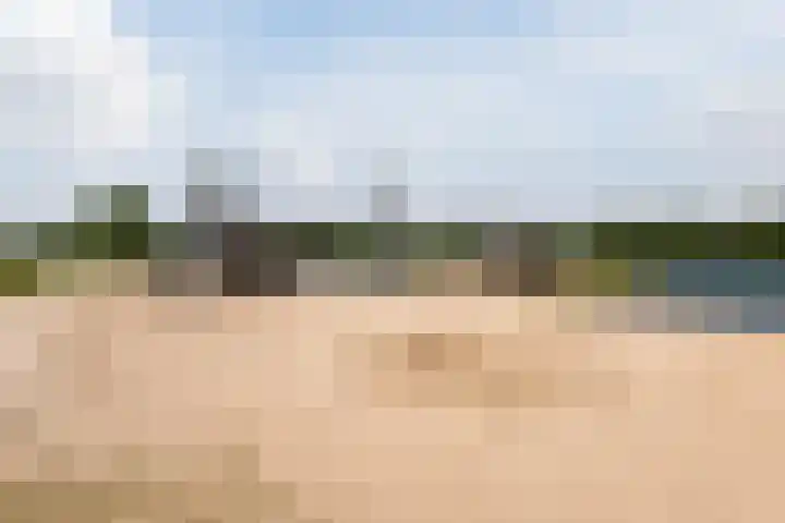 Drielandendreef 268 Harderwijk thumbnail 49