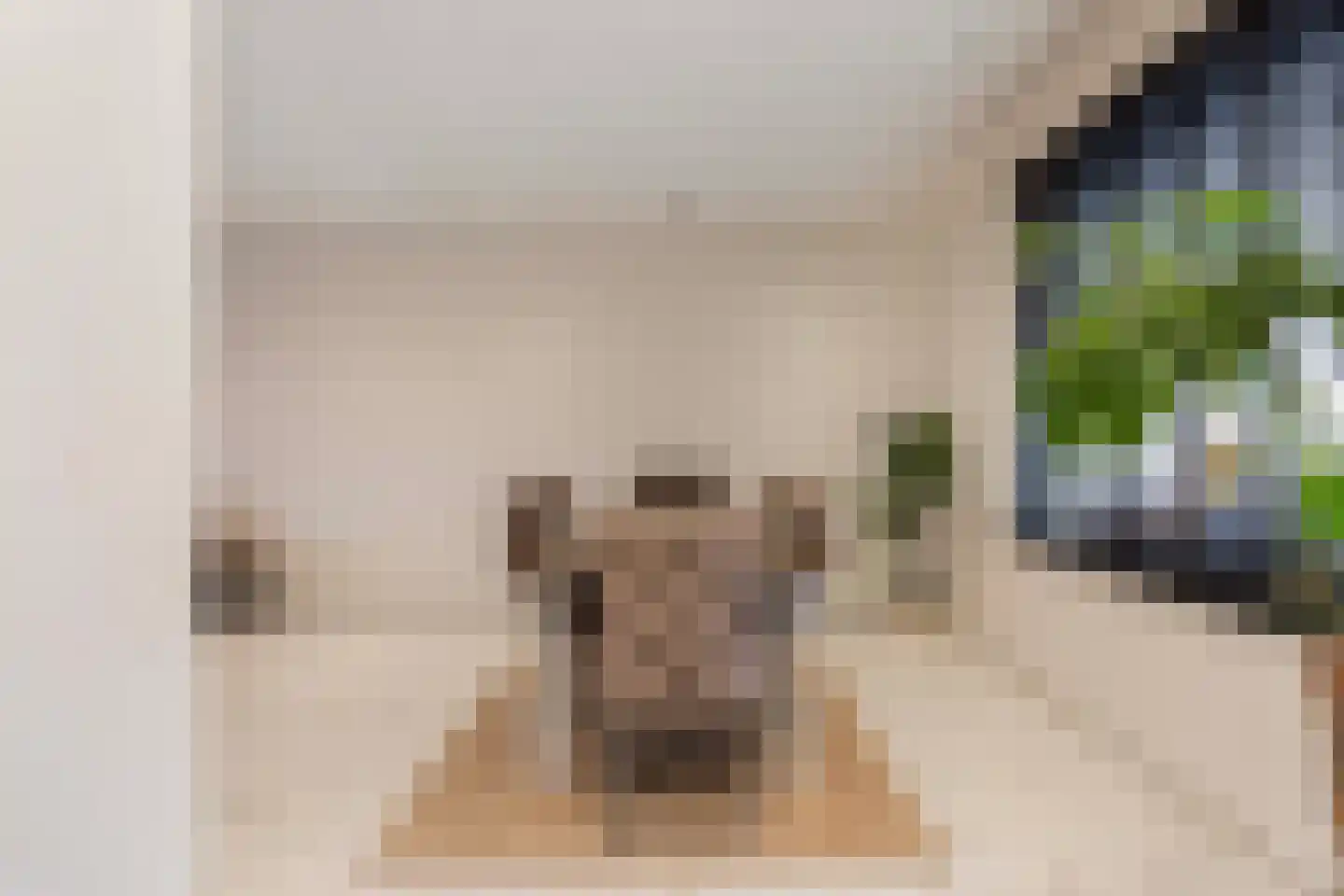 Drielenborchdreef 28 Utrecht thumbnail 11