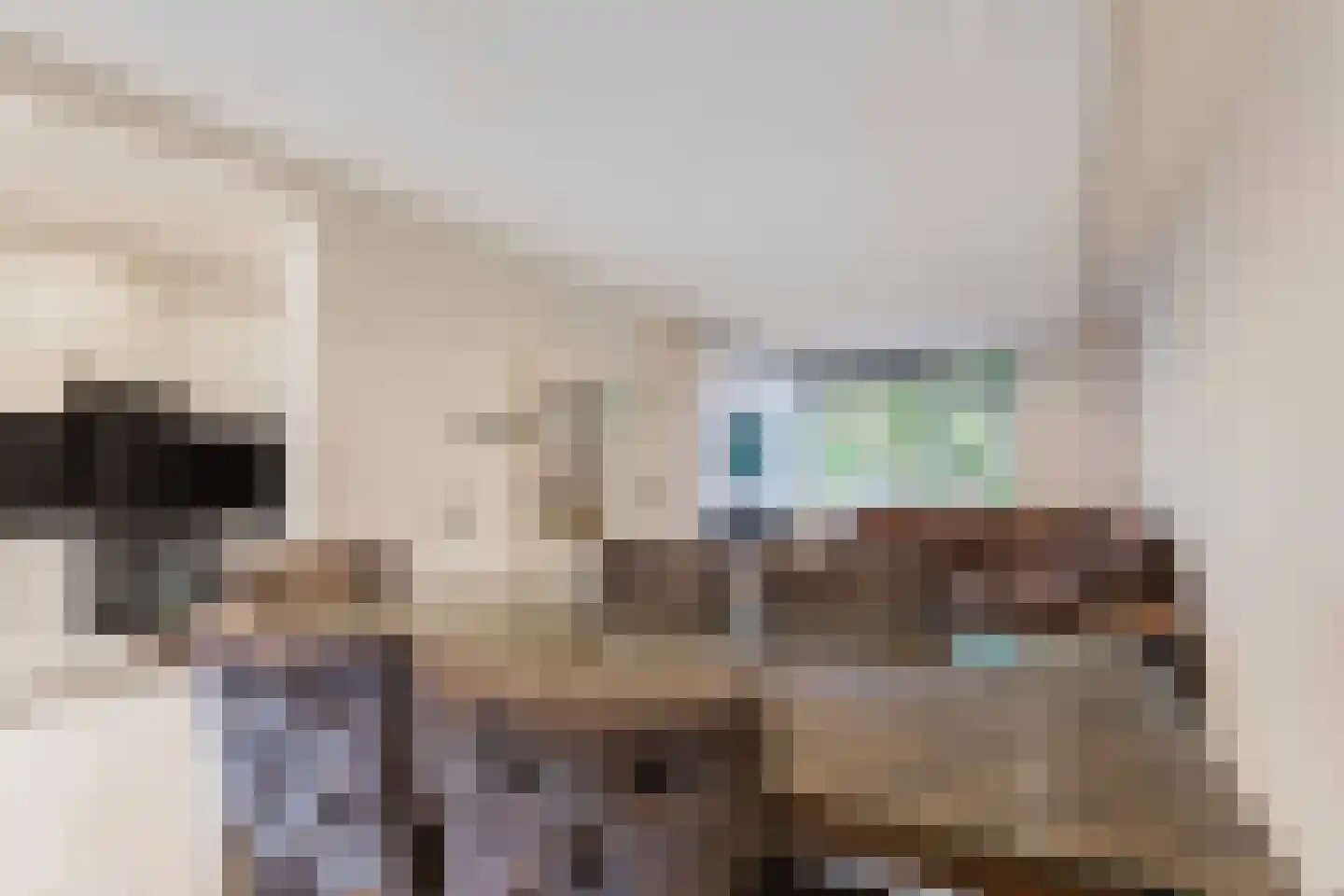 Drielenborchdreef 28 Utrecht thumbnail 13