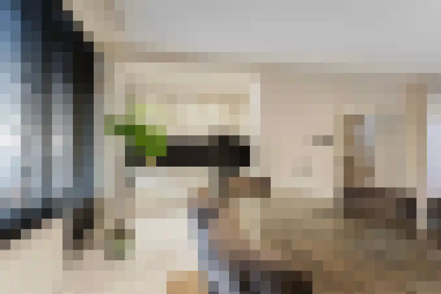 Drielenborchdreef 28 Utrecht thumbnail 14