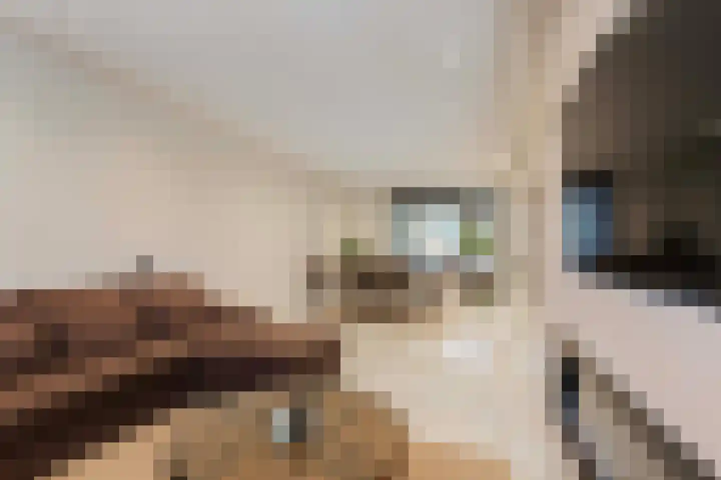 Drielenborchdreef 28 Utrecht thumbnail 9