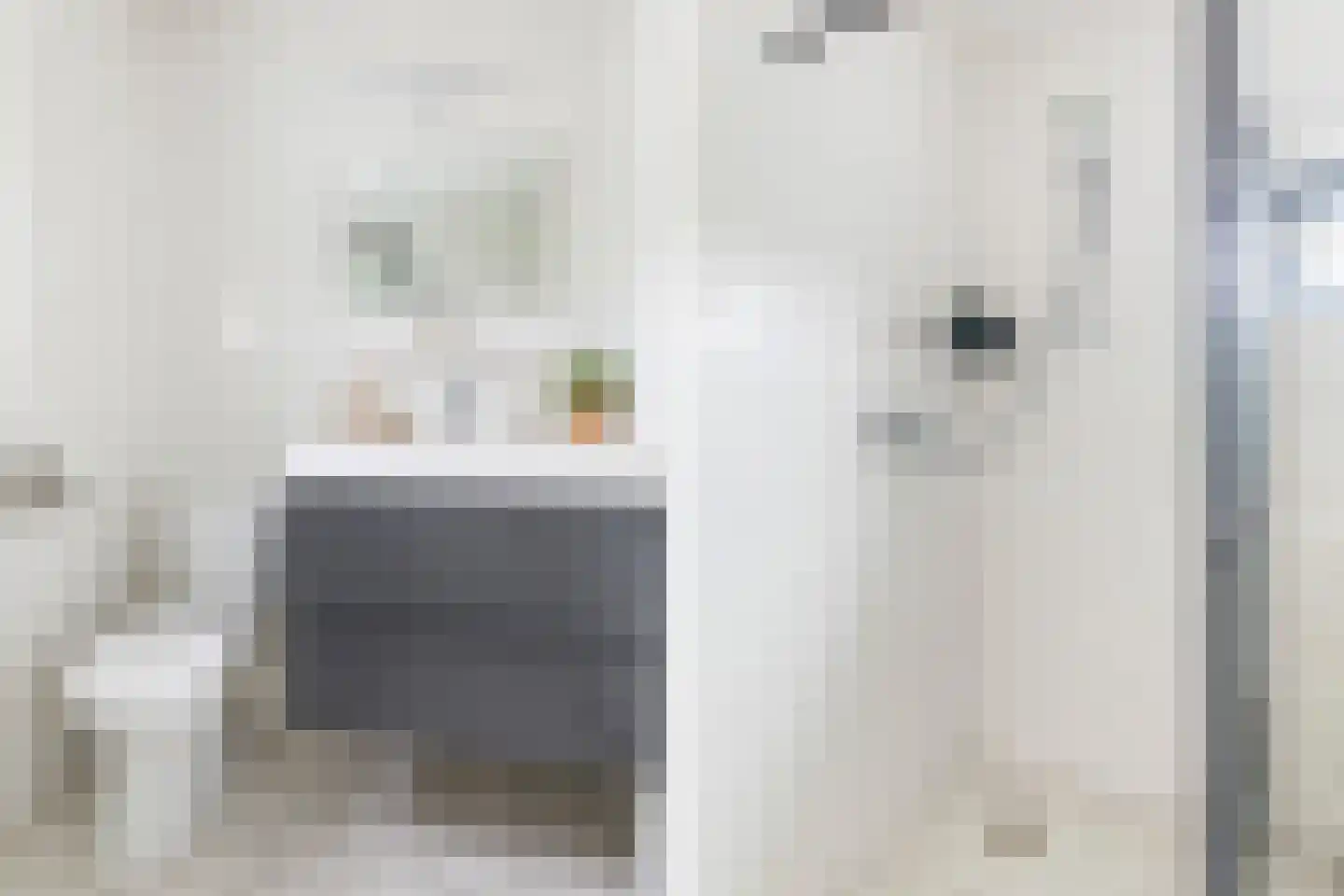 Drielenborchdreef 3 Utrecht thumbnail 20