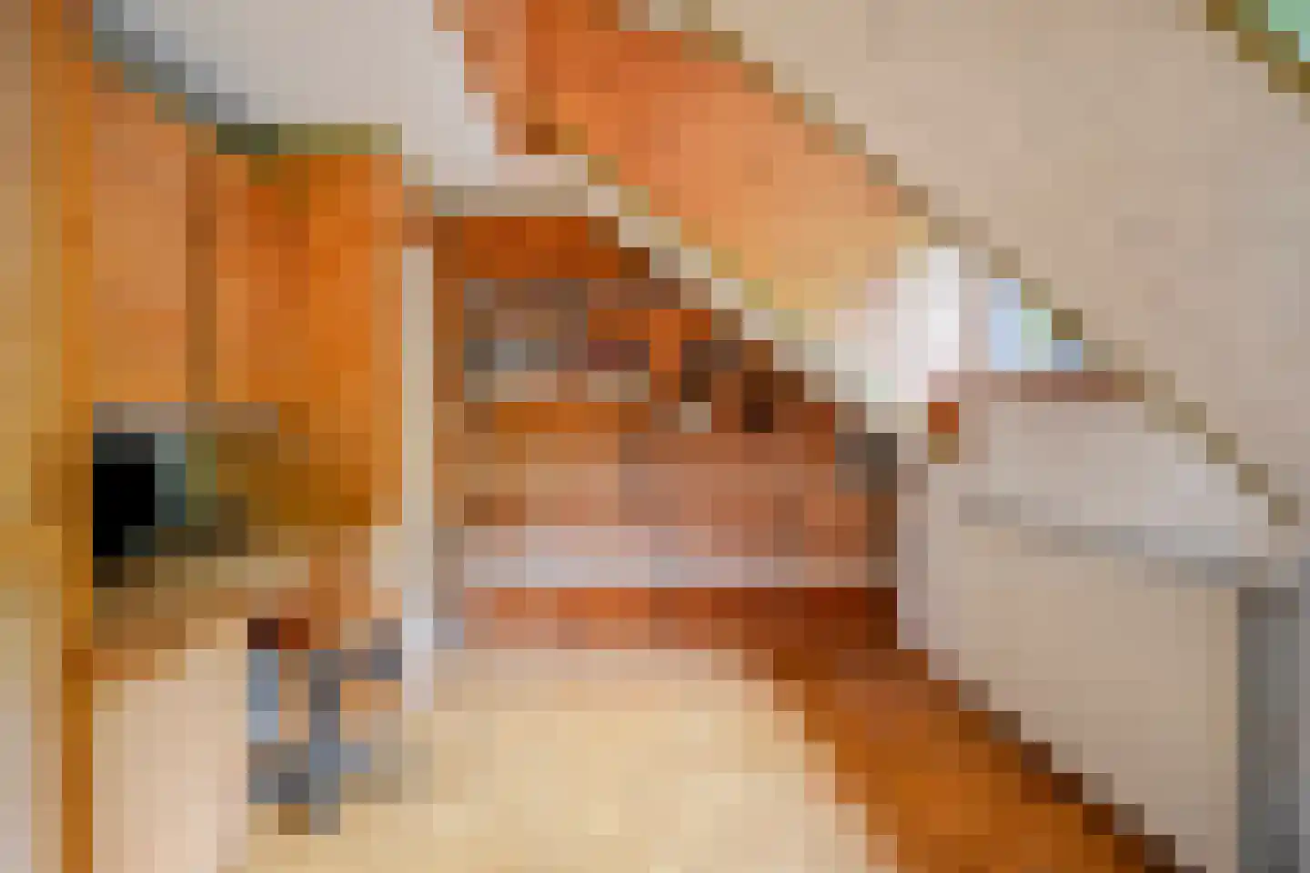 Drielindendreef 20 Breda thumbnail 22