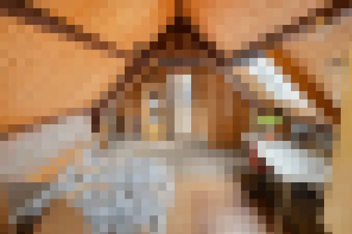 Drielindendreef 20 Breda thumbnail 23