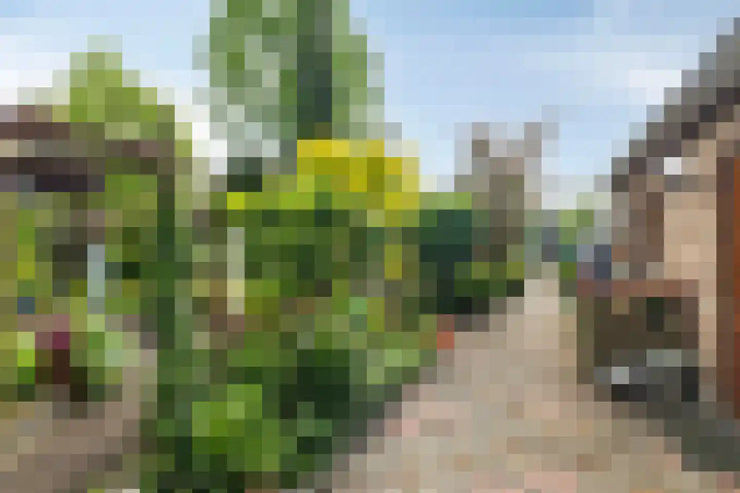 Drielindendreef 20 Breda thumbnail 27