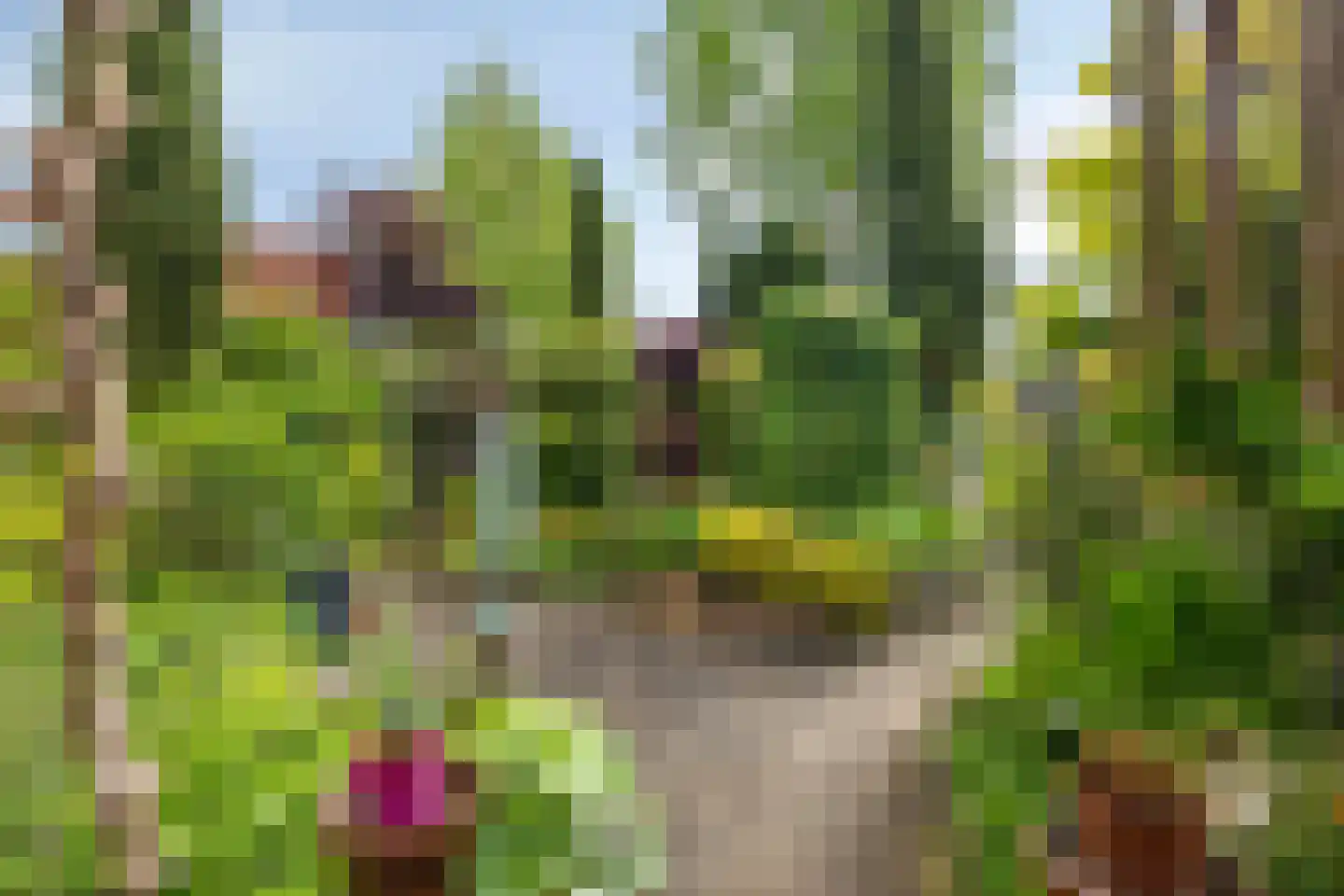 Drielindendreef 20 Breda thumbnail 28
