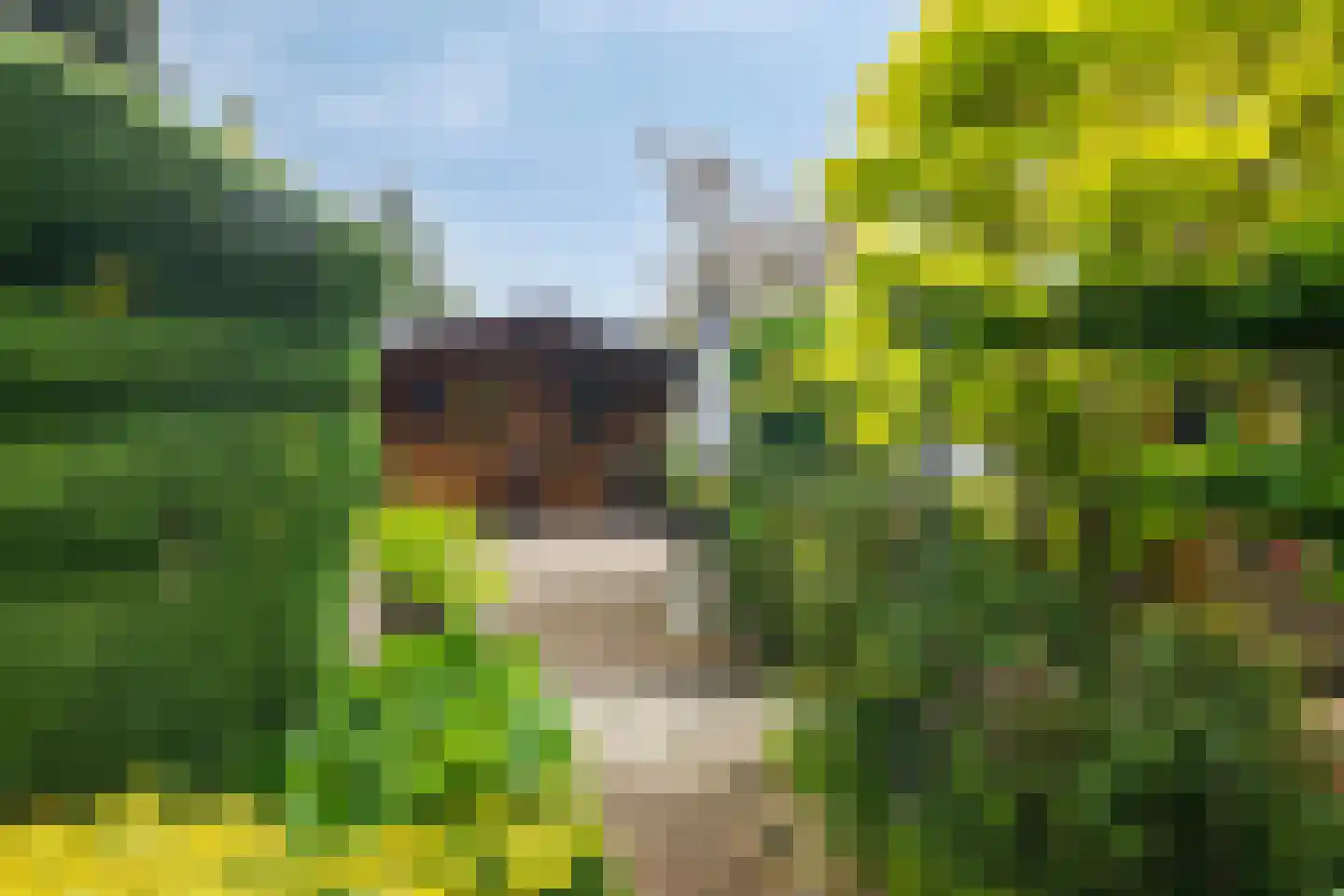Drielindendreef 20 Breda thumbnail 29